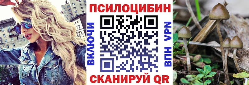 площадка официальный сайт  Давлеканово  Галлюциногенные грибы Psilocybine cubensis  дарнет шоп 